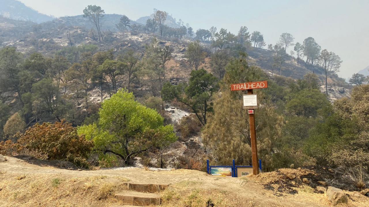 Stebbins Cold Canyon