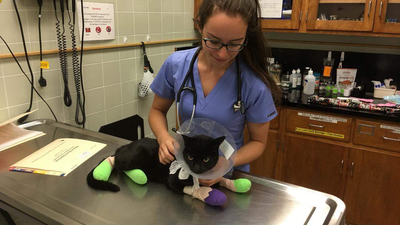 student with burned cat