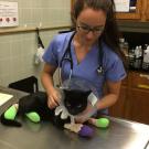 student with burned cat